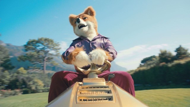 Foxy Bingo Born Free